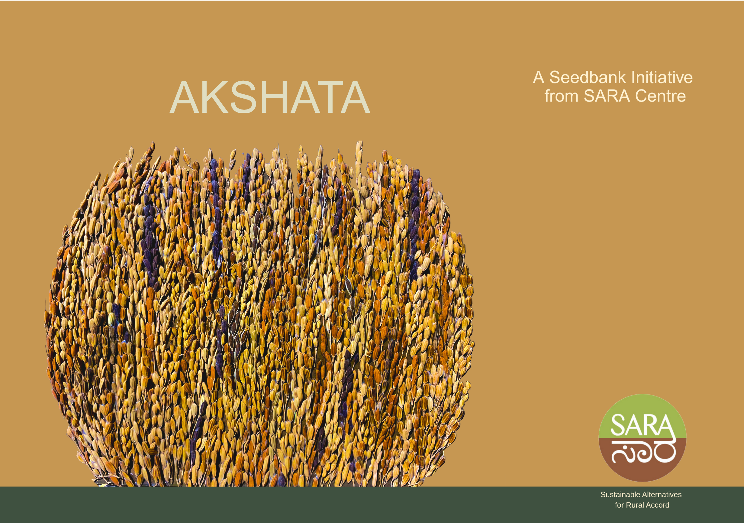Akshata Rice AKSHATA Participatory Rice Seed Conservation Initiative ಅಕ್ಷತಾ ...